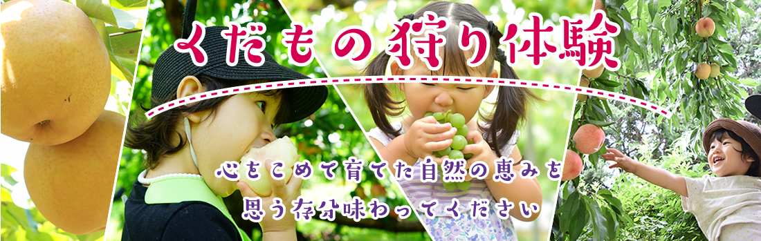 くだもの狩り体験　詳しくこちら